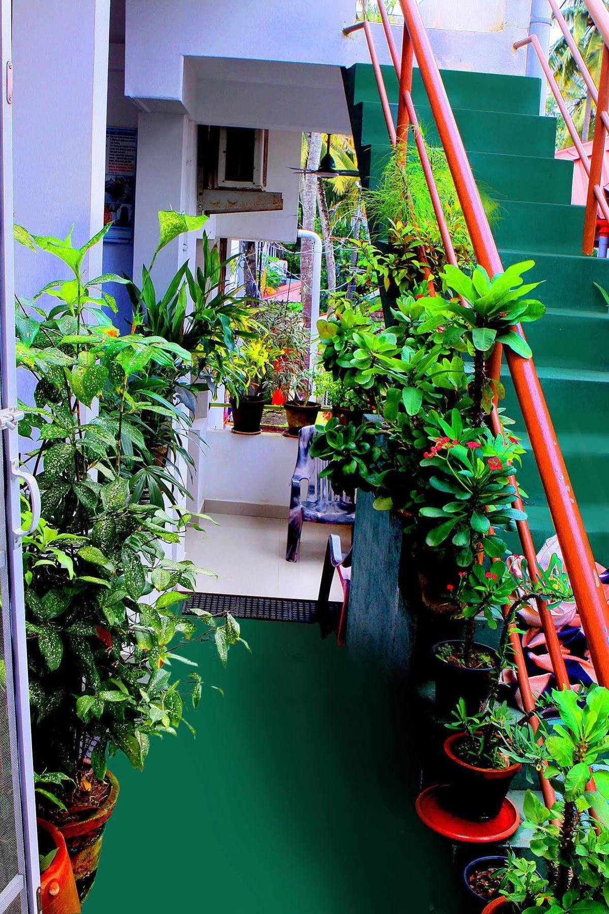 Heavenly Kochi