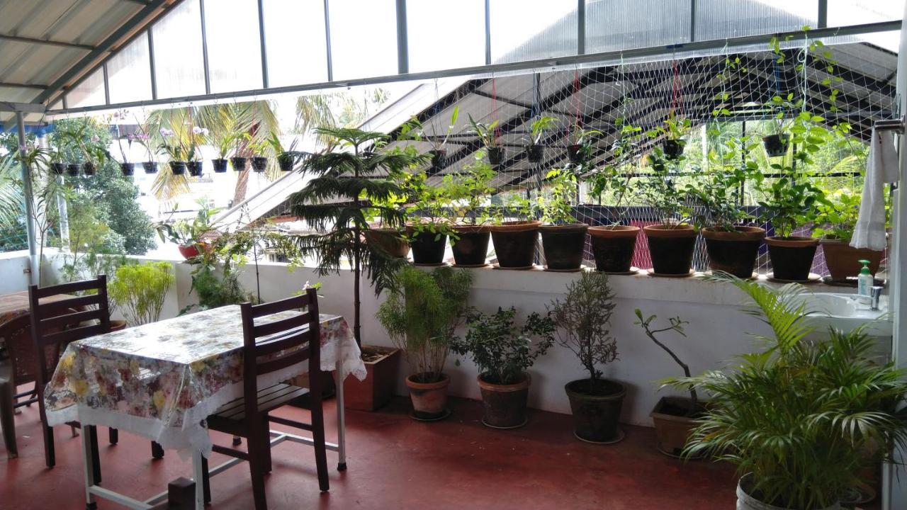 Gloria Bed & Breakfast Kochi