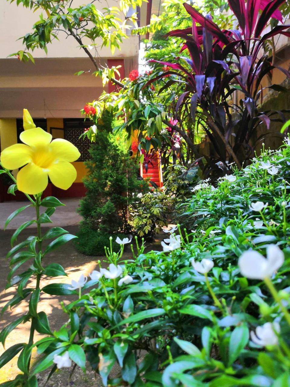 David Homes Homestay Kochi