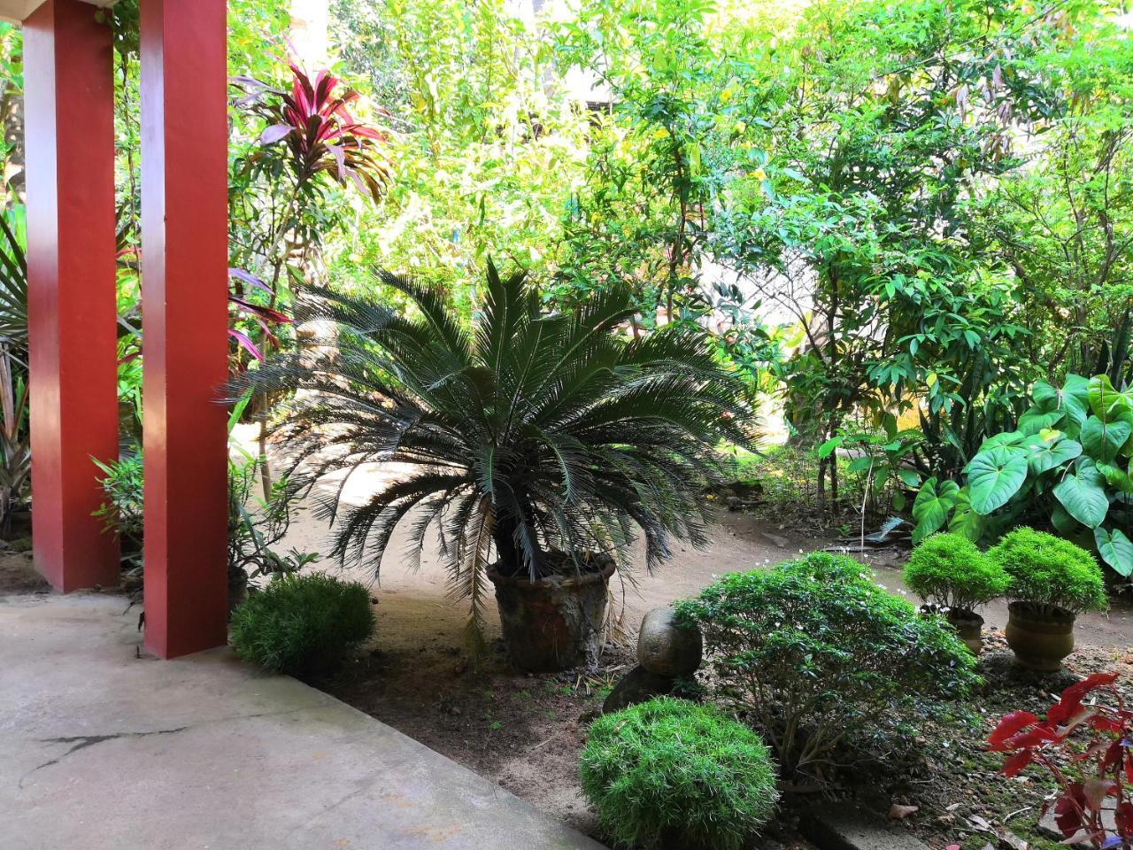 David Homes Homestay *