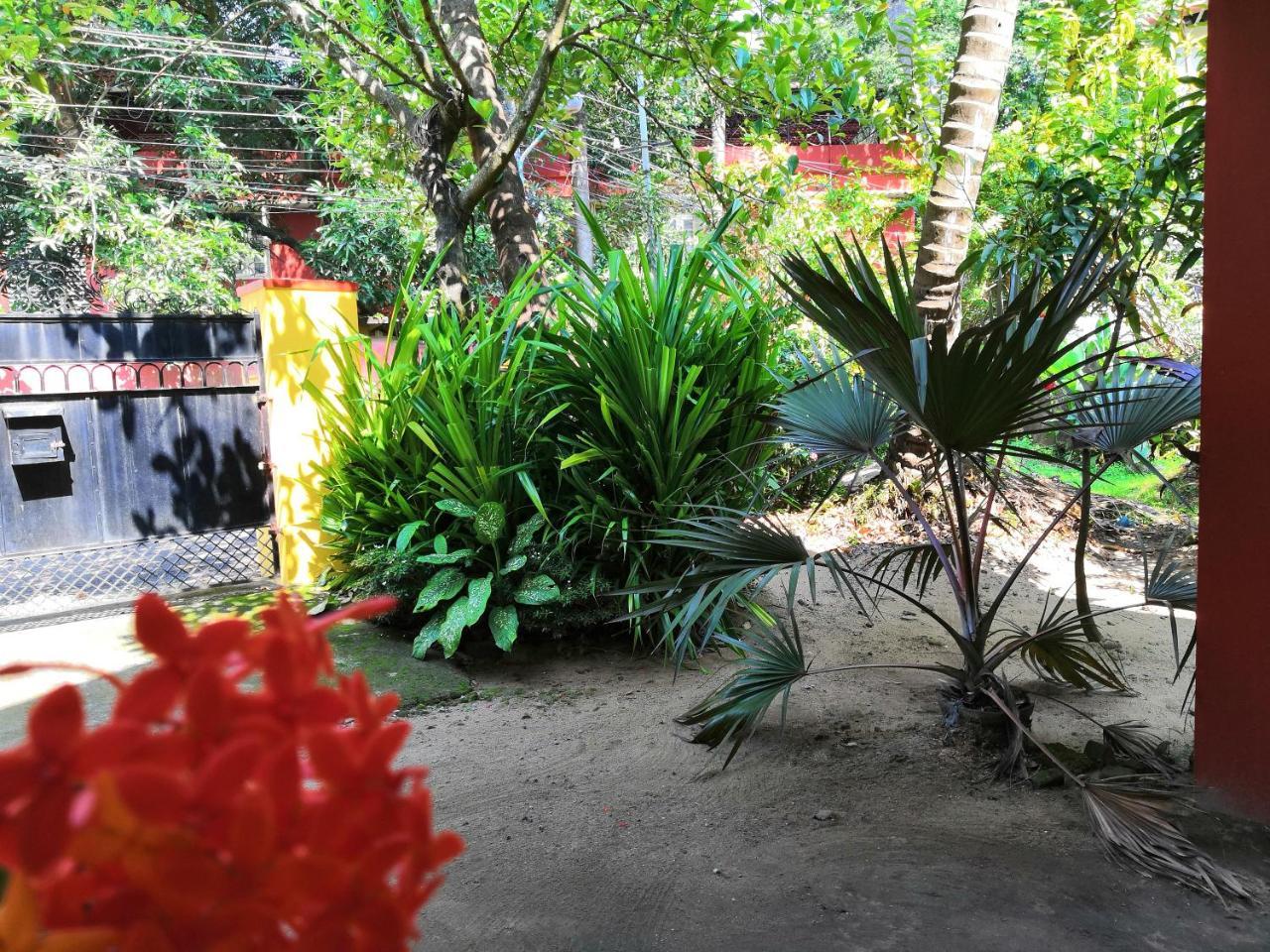 Homestay David Homes