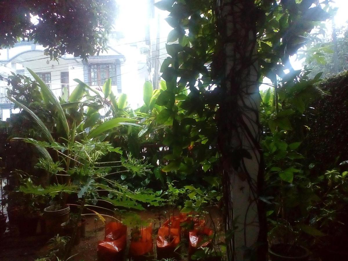 Nathans 2* Kochi