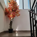 Masterkey Executive Rooms