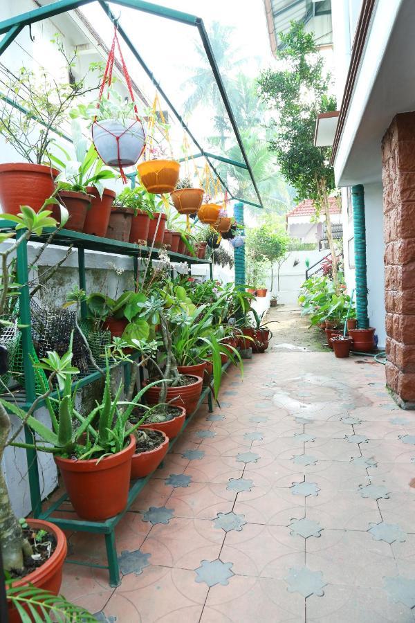 Jasmin Homestay
