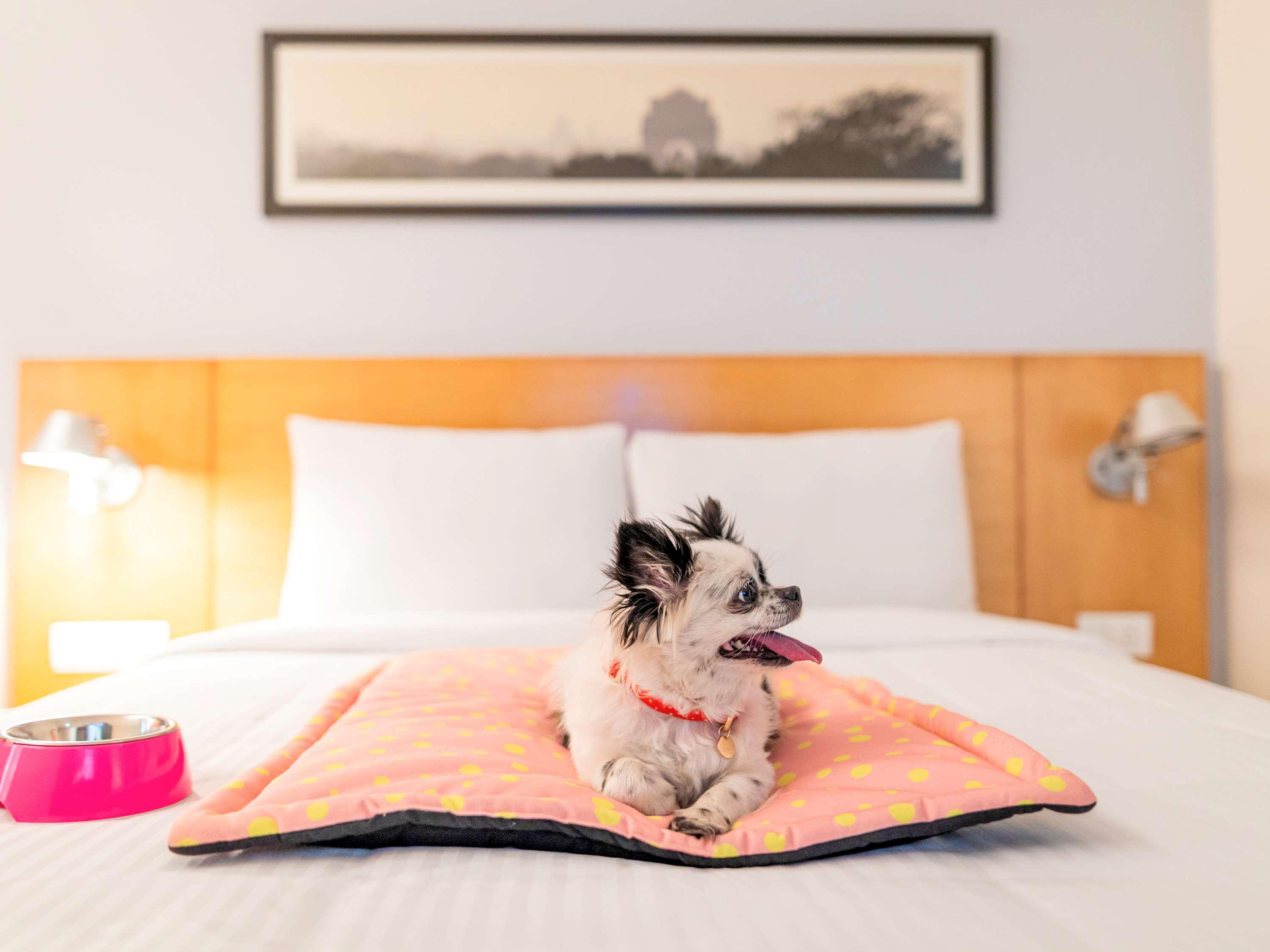 Ibis Centre - An Accor Brand Hotel