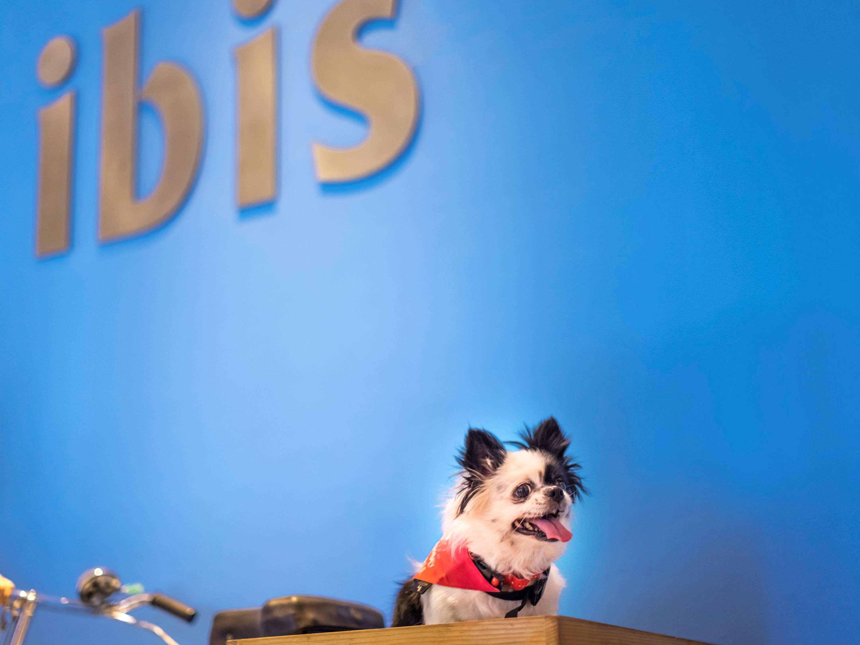 Ibis Centre - An Accor Brand Hotel