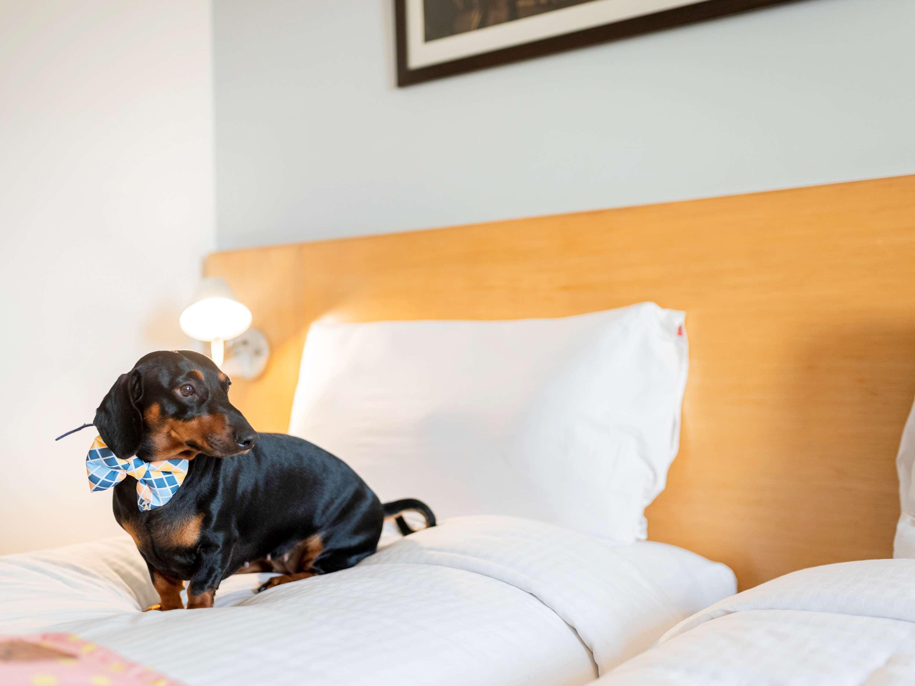 Hotel Ibis Centre - An Accor Brand 4*