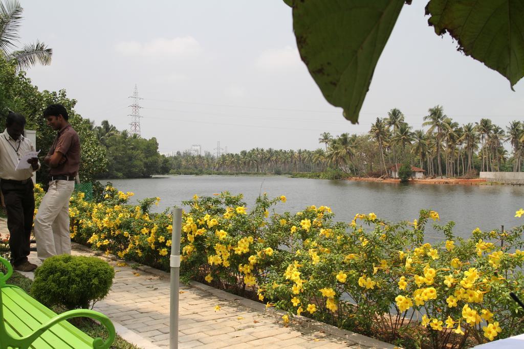 Punarnava Bamboo Lagoon Ayurveda Village