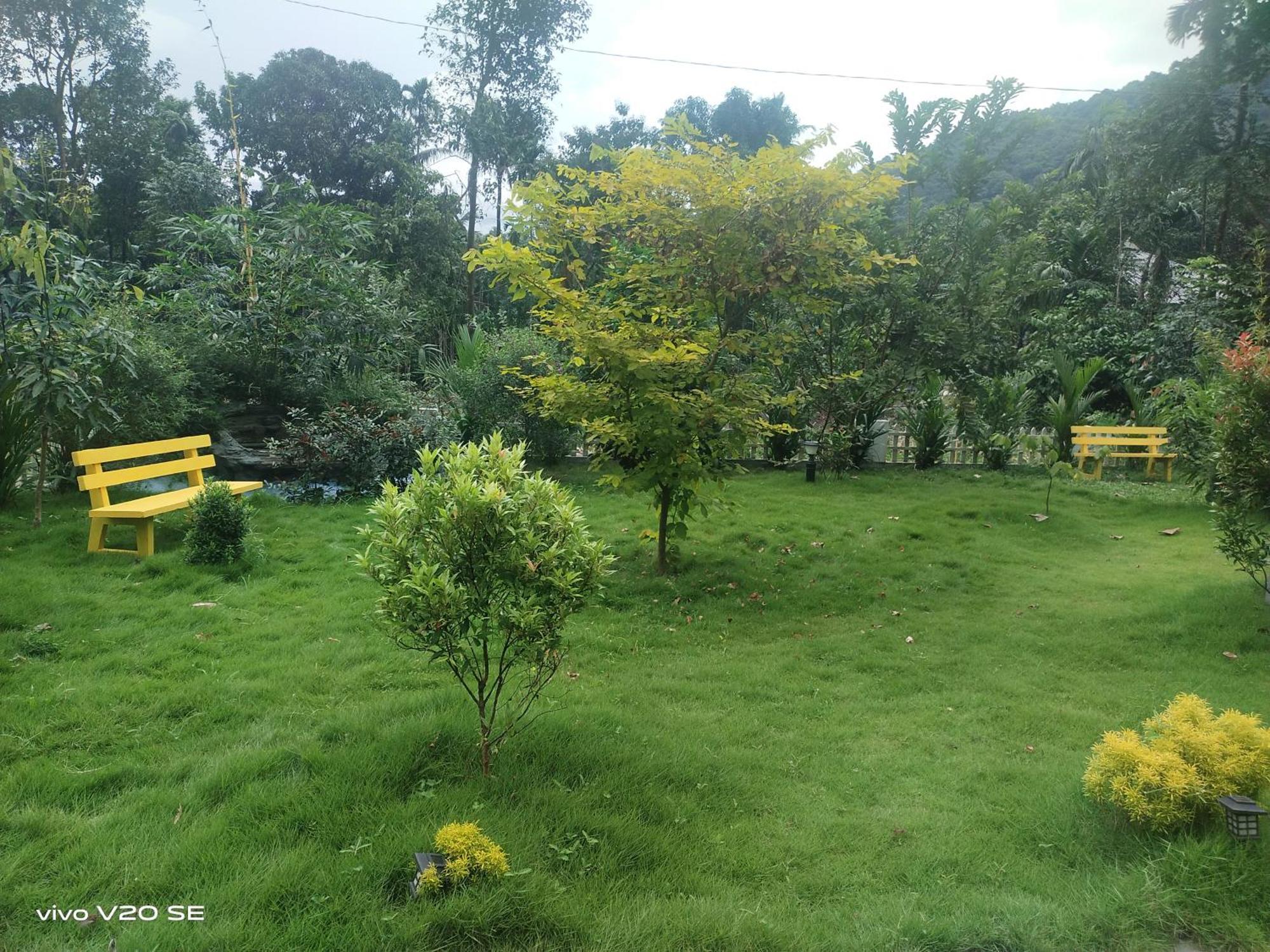 Homestay Merlys Fruit Garden Kochi
