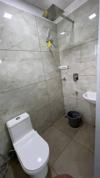 Luxurious House 1
