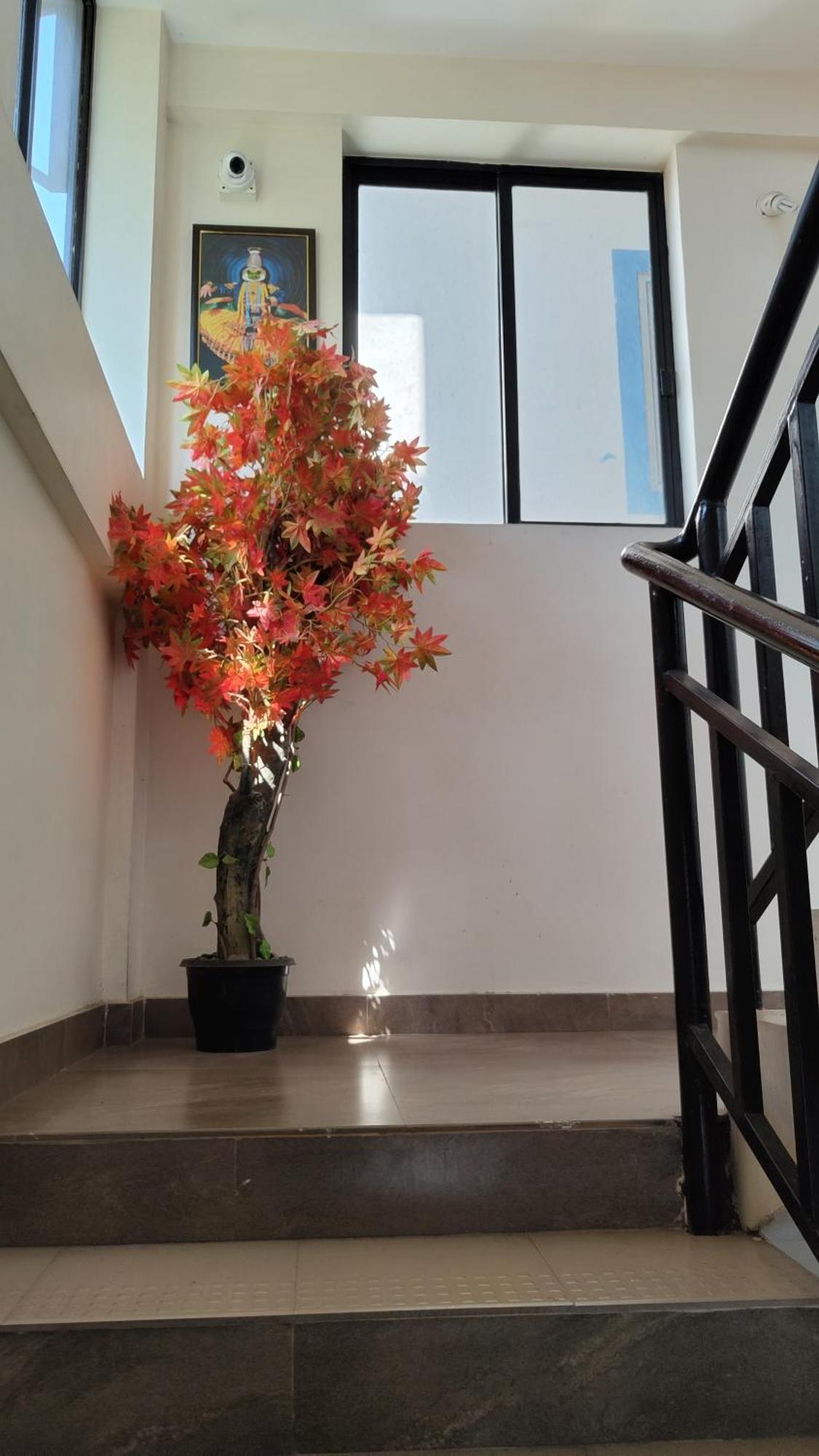 Hotel Masterkey Executive