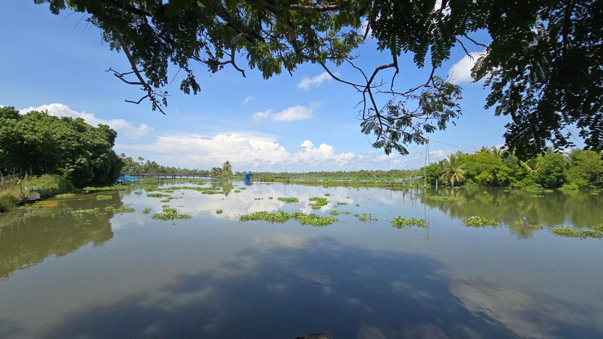 Pradeep's Backwater Kochi