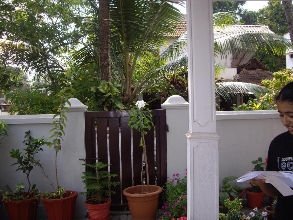Elim Homestay *