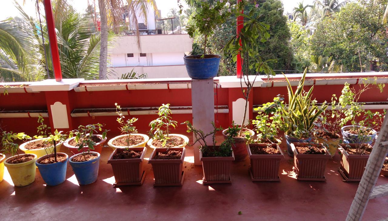 Homestay Elim