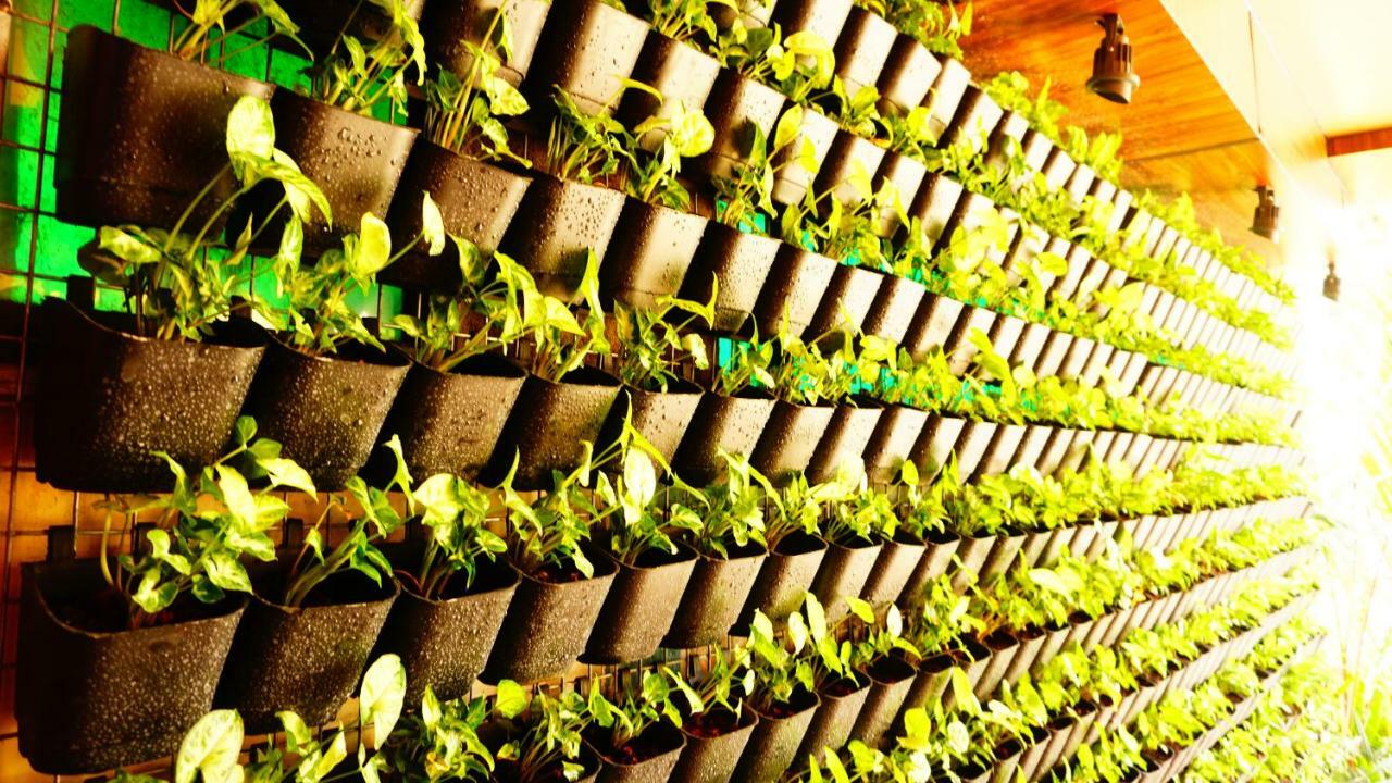 Thayamkery's Royal Hotel Kochi